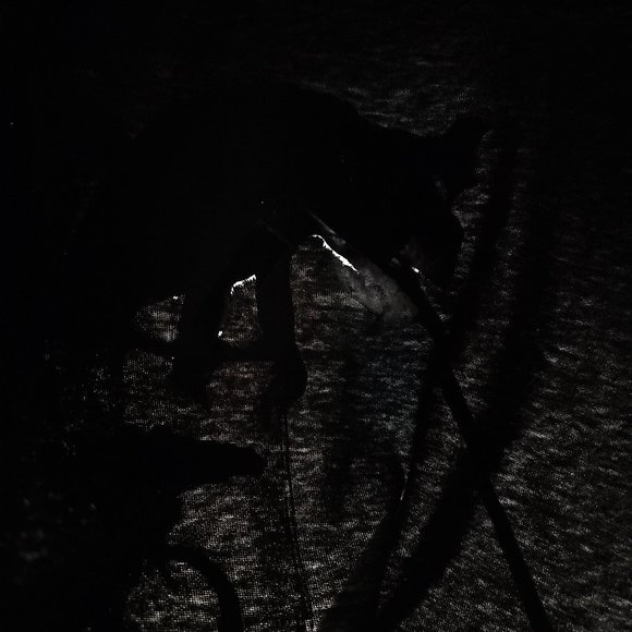 Vtg Budweiser Lizards Gildan Graphic T-Shirt Large Black Distressed DRY ROT - Picture 11 of 12